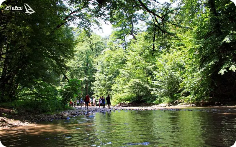 بازدید مردمان از جنگل جیغ مشهد