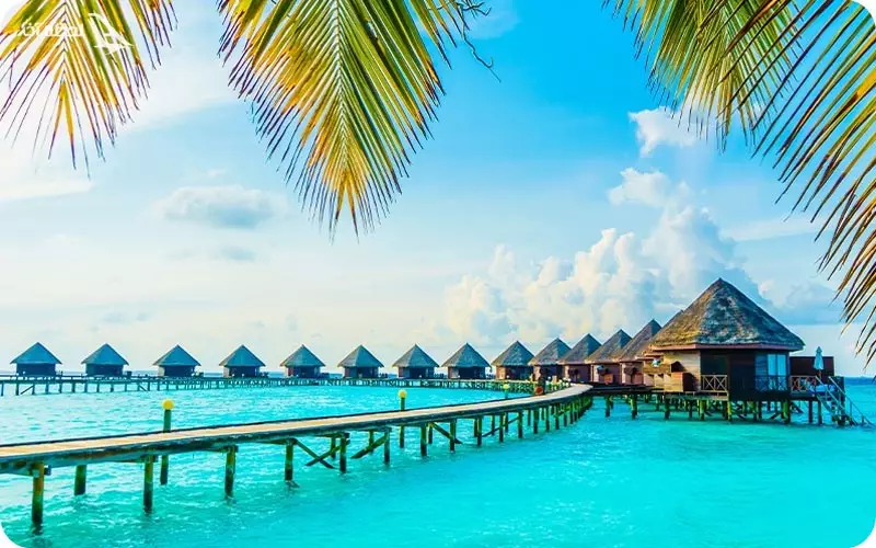 تور کیش ازشهرستان؛ از تبریز