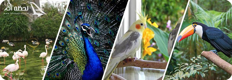 باغ پرندگان اصفهان