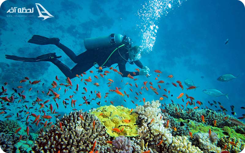 تفریحات کیش