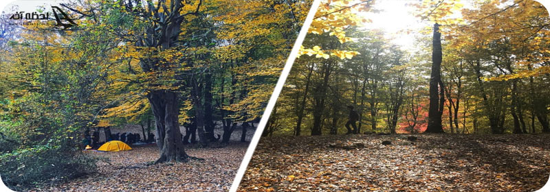 آب و هوای آفتابی مرداب هسل