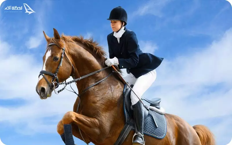 اسب سواری در هامون