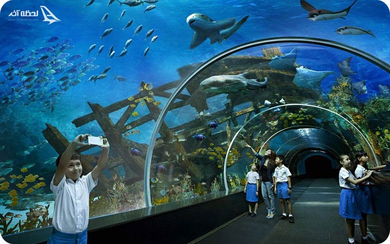 آکواریوم آکوا وگا آنکارا 