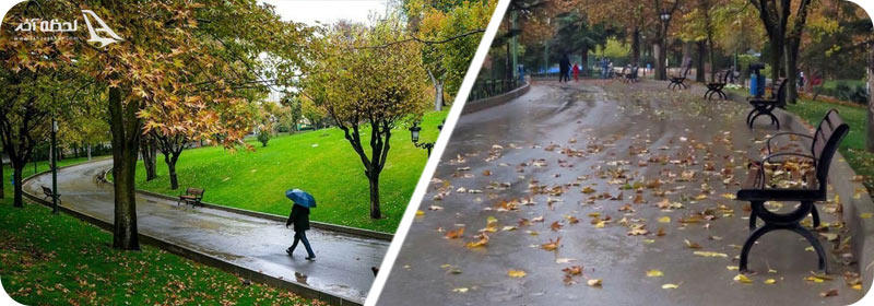 آب و هوای پارک وی