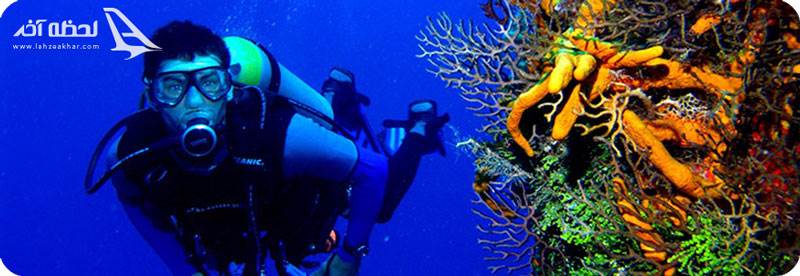 غواصی در منطقه سر شیطان جزیره آکاماس