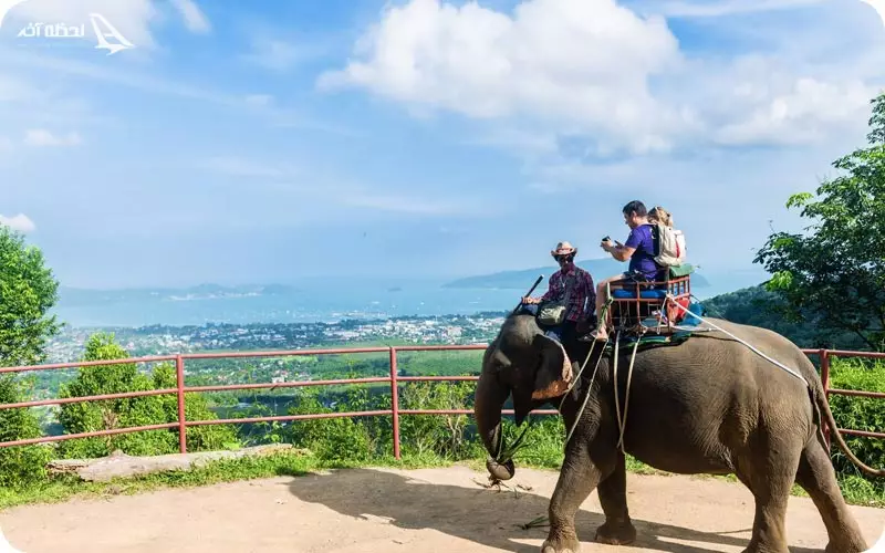 فیل سواری در پوکت