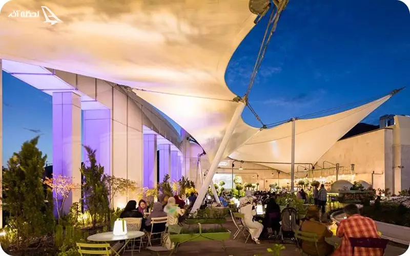 کافی شاپ ویولت