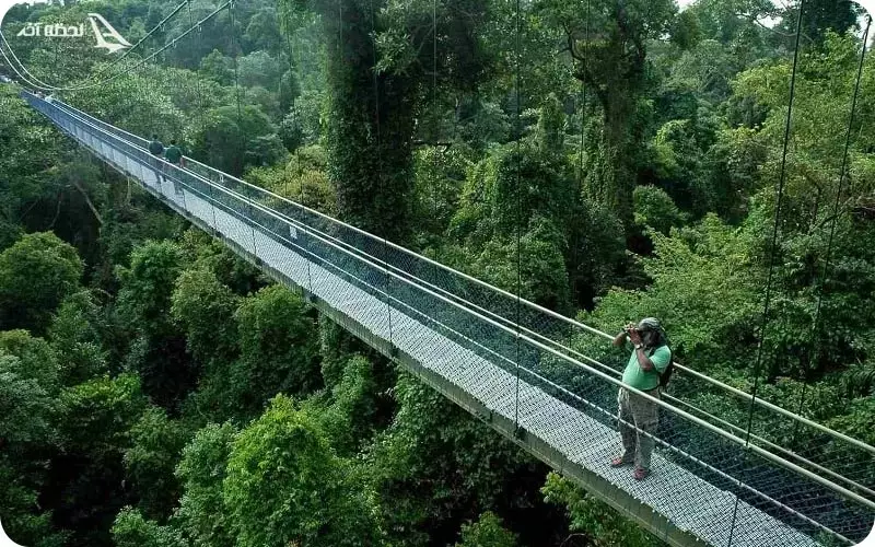 مسیرهای رویایی مالزی