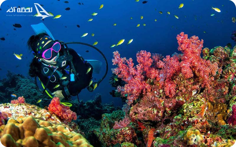 سایت های غواصی قشم