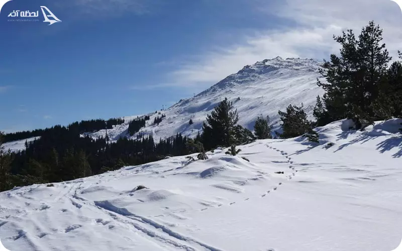 آبوهوای کوه ویتوشا