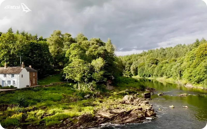 دریاچه لیسی