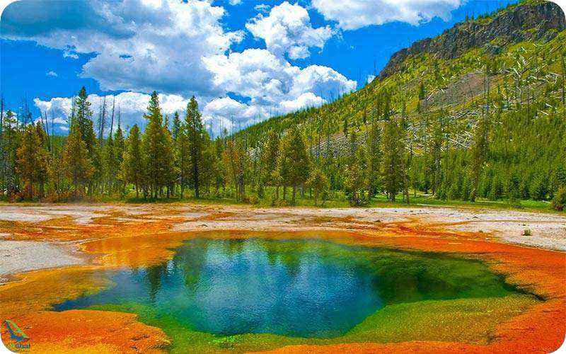 آبفشان الد فیثفول