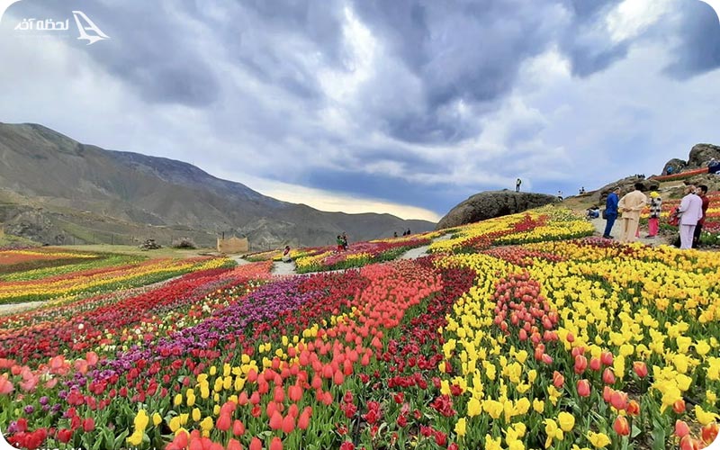 دشت لاله کندر