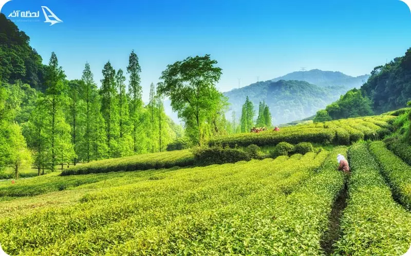 کشاورزی در استانبول