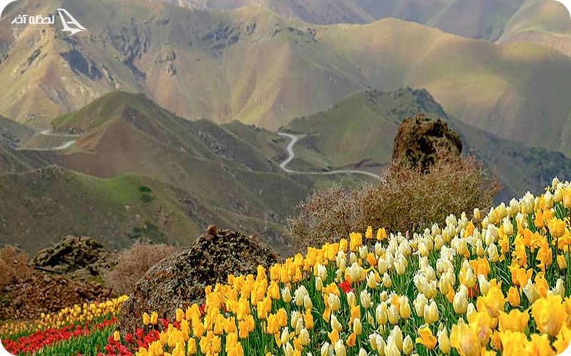 روستای کندر کجاست؟