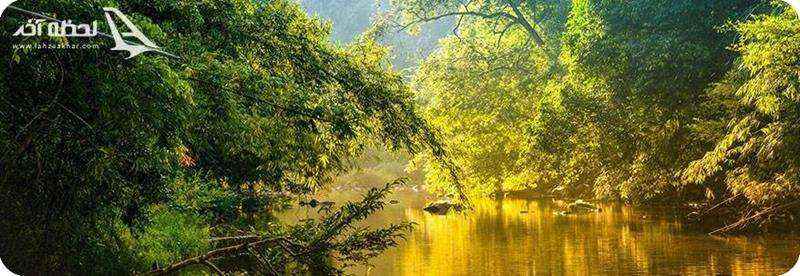 نمایی زیبا از رودخانه آمازون