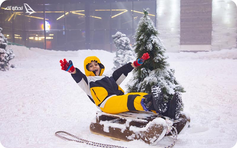 پارک برفی پنگوئن