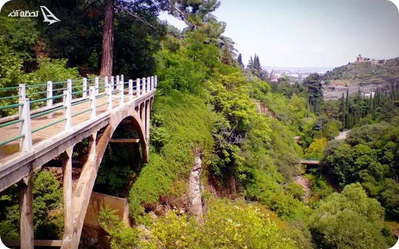 بوتانیکال گاردین