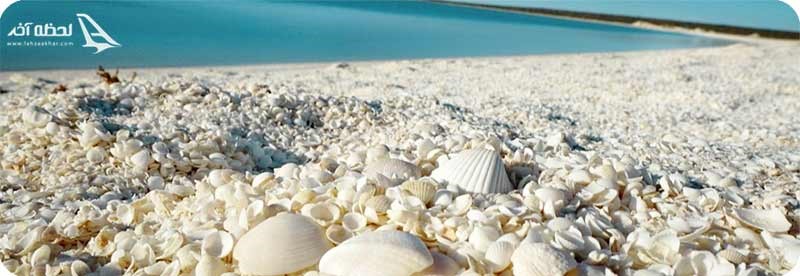 ساحل صدفی استرالیا