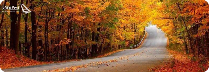 جنگل ناهار خوران گلستان