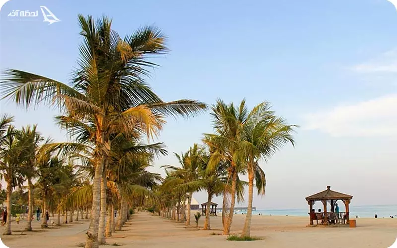 ساحل درختان نارگیل کیش