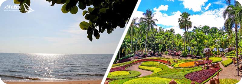 ساحل جامتین (Jomtien Beach)/باغ گیاهشناسی گرمسیری نانگ نوچ (Nong Nooch)