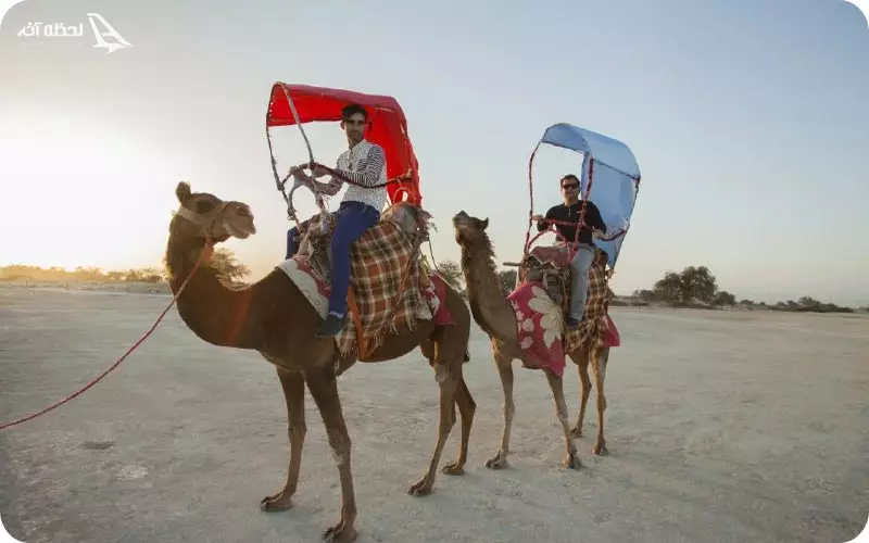 شترسواری در جزیره کیش