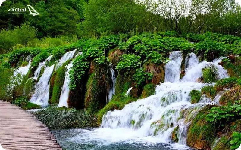 پوشش گیاهی تنگ بستانک