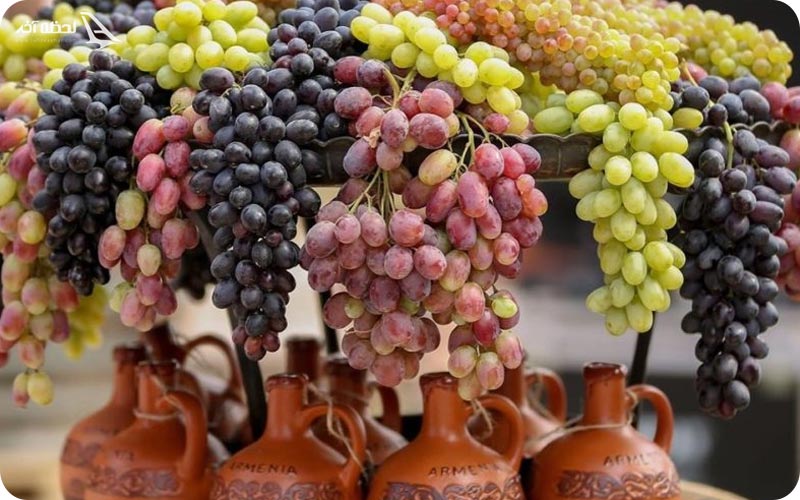 جشن برکت انگور در ارمنستان