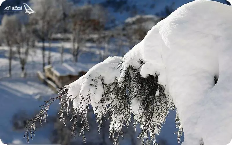 برف در تندوره