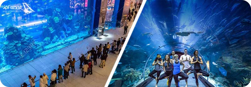 مسیرهای دسترسی به آکواریوم دبی