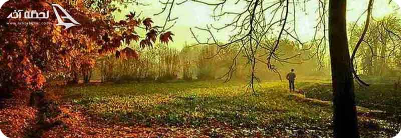 پارک-جنگلی-ناژوان