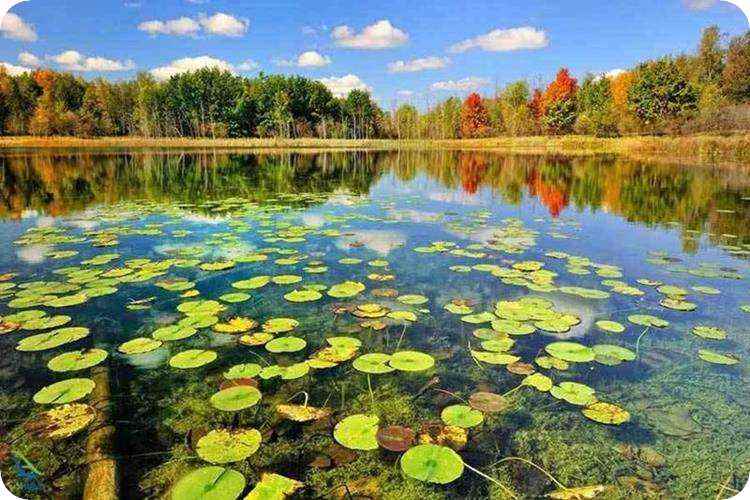 تالاب سیاه درویشان