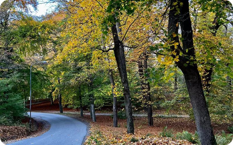 رویال پارک ملی شهر
