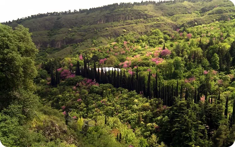 بوتانیکال گاردین