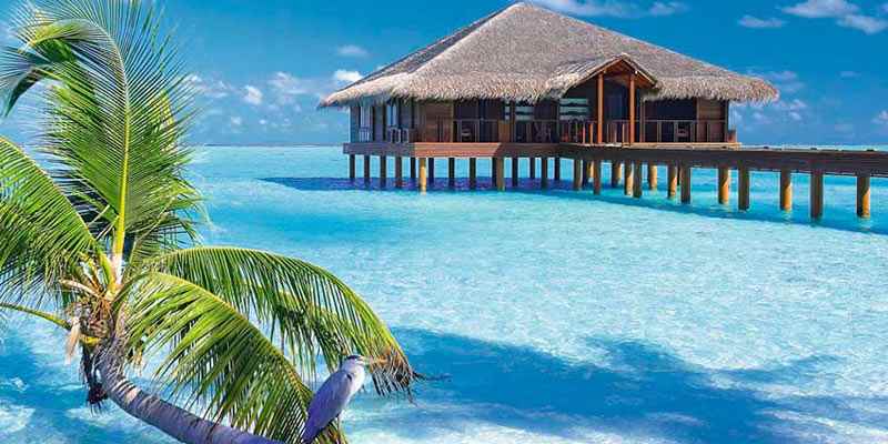 جزایر رویایی مالدیو را بشناسید + عکس