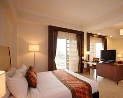 هتل فلامینگو بای دی لیک نمای داخلی اتاق