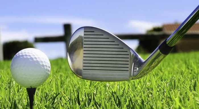 هتل سارپ نمای زمین گلف