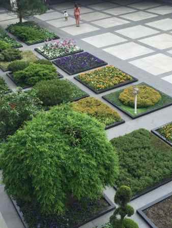 هتل مرکور سوچی نمای فضای سبز