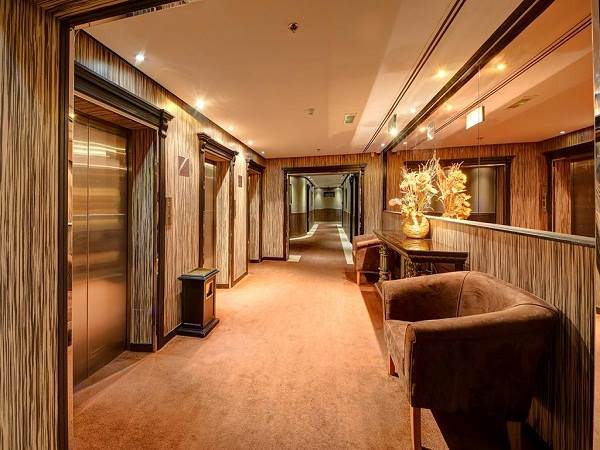 هتل دلمن پالاس نمای آسانسور