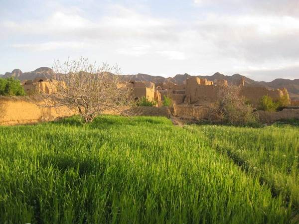 هتل اقامتگاه روستای هد نمای روستای هد