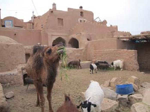 هتل اقامتگاه آل داوود نمای داخلی