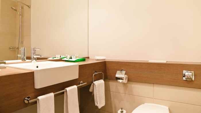 هتل هالیدی این موسکووسکی نمای سرویس بهداشتی