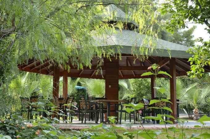 هتل شروود گرینوود نمای فضای سبز