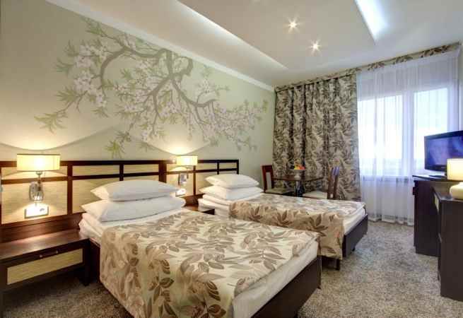 هتل ایزمایلوو الفا نمای اتاق با 2 تخت خواب تک نفره