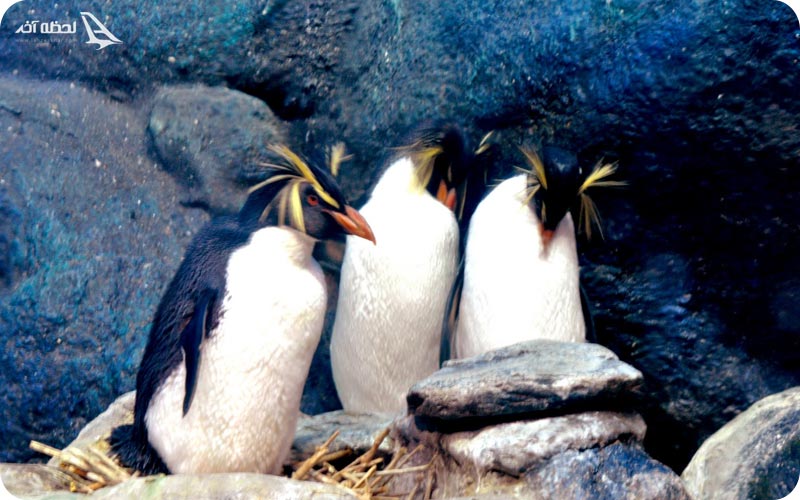 دنیای زیر آب لنکاوی