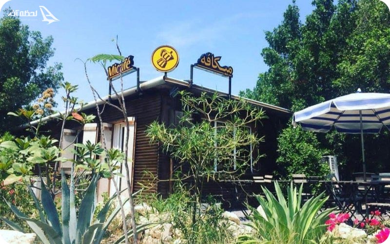 سرسبزی میکافه کیش