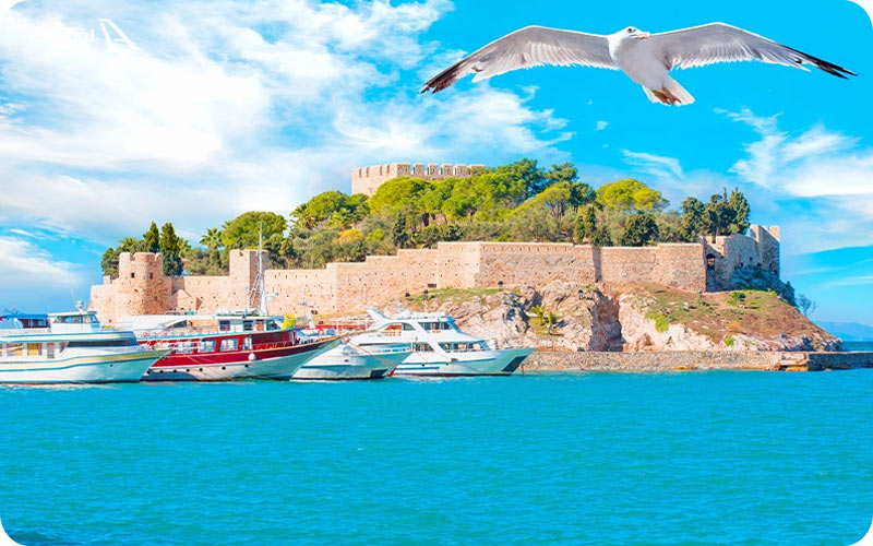 جزیره کبوتر