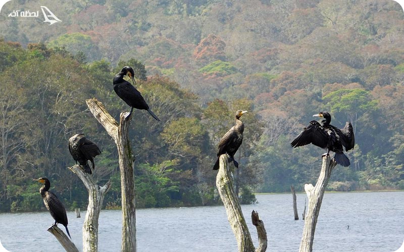 پارک ملی پریار