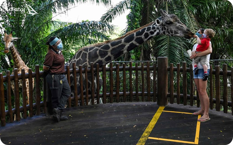 باغ وحش ملی نگارا مالزی